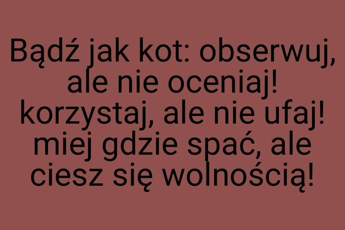 Bądź jak kot: obserwuj, ale nie oceniaj! korzystaj, ale nie