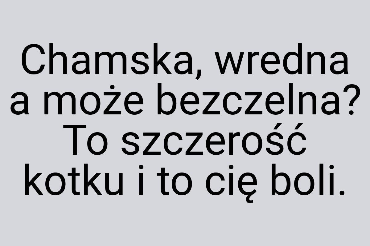 Chamska, wredna a może bezczelna? To szczerość kotku i to