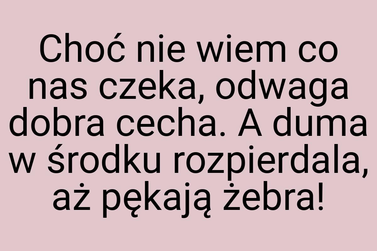 Choć nie wiem co nas czeka, odwaga dobra cecha. A duma w