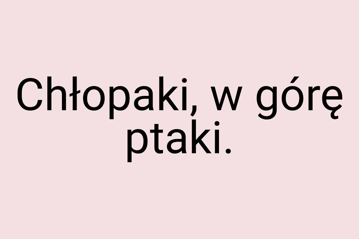 Chłopaki, w górę ptaki