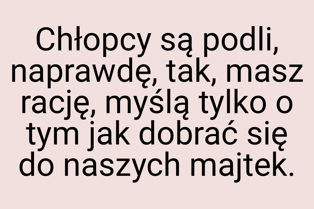 Chłopcy są podli, naprawdę, tak, masz rację, myślą tylko o