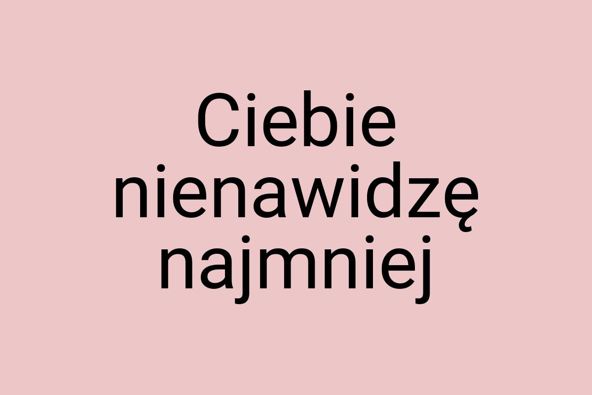 Ciebie nienawidzę najmniej