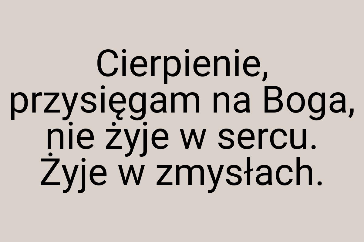 Cierpienie, przysięgam na Boga, nie żyje w sercu. Żyje w