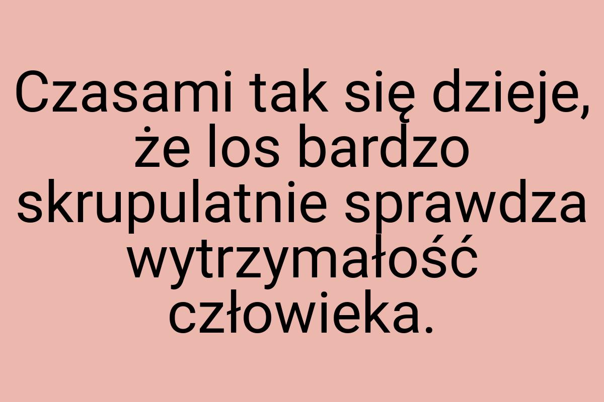 Czasami tak się dzieje, że los bardzo skrupulatnie sprawdza