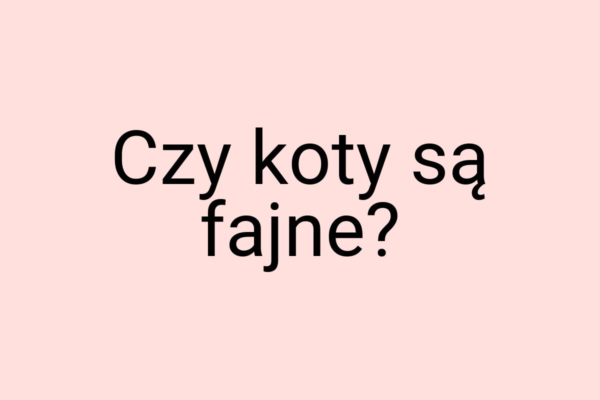Czy koty są fajne