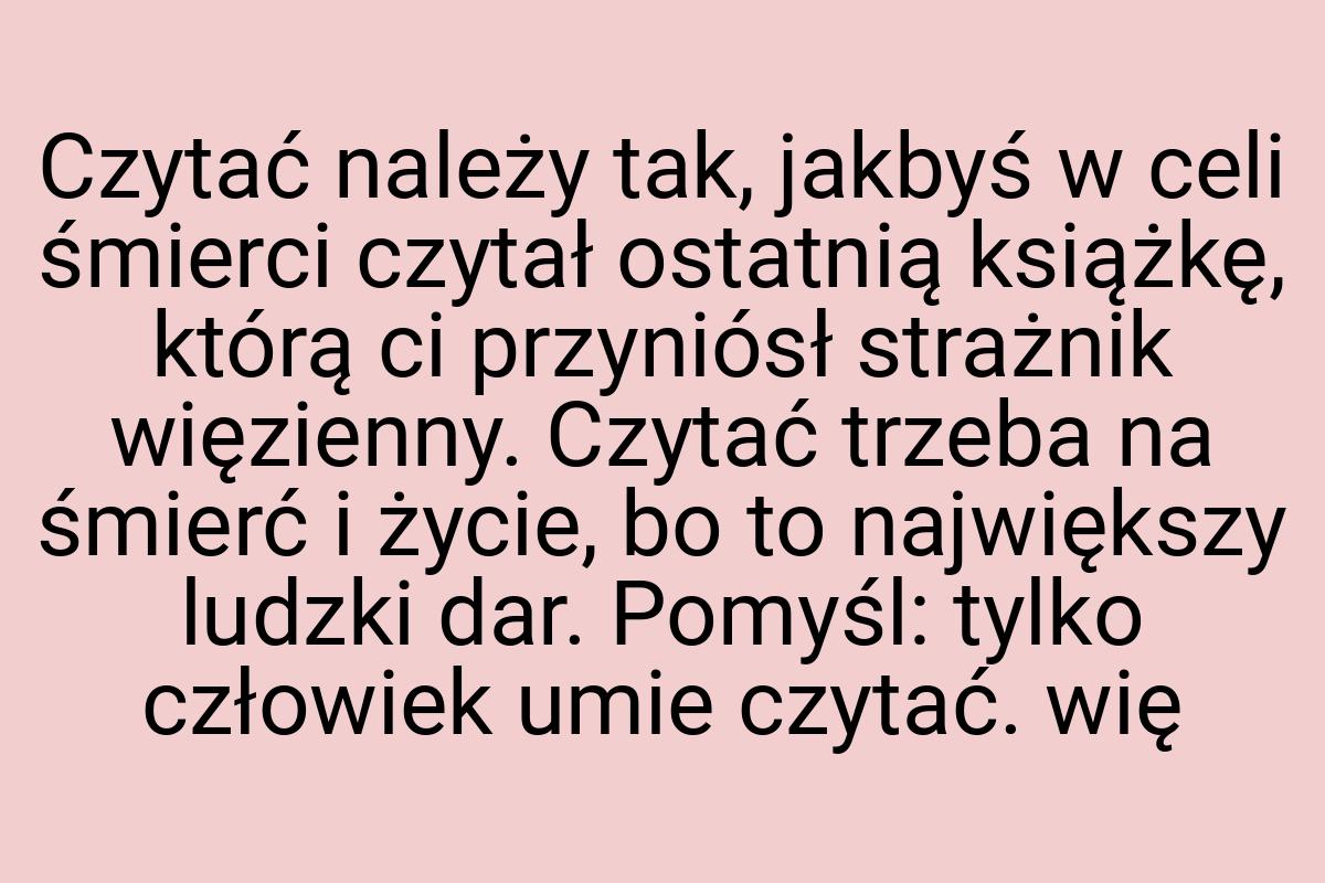 Czytać należy tak, jakbyś w celi śmierci czytał ostatnią