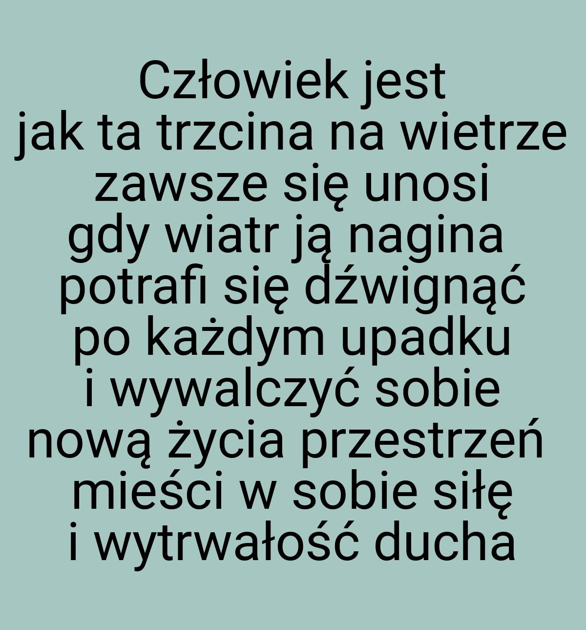 Człowiek jest jak ta trzcina na wietrze zawsze się unosi