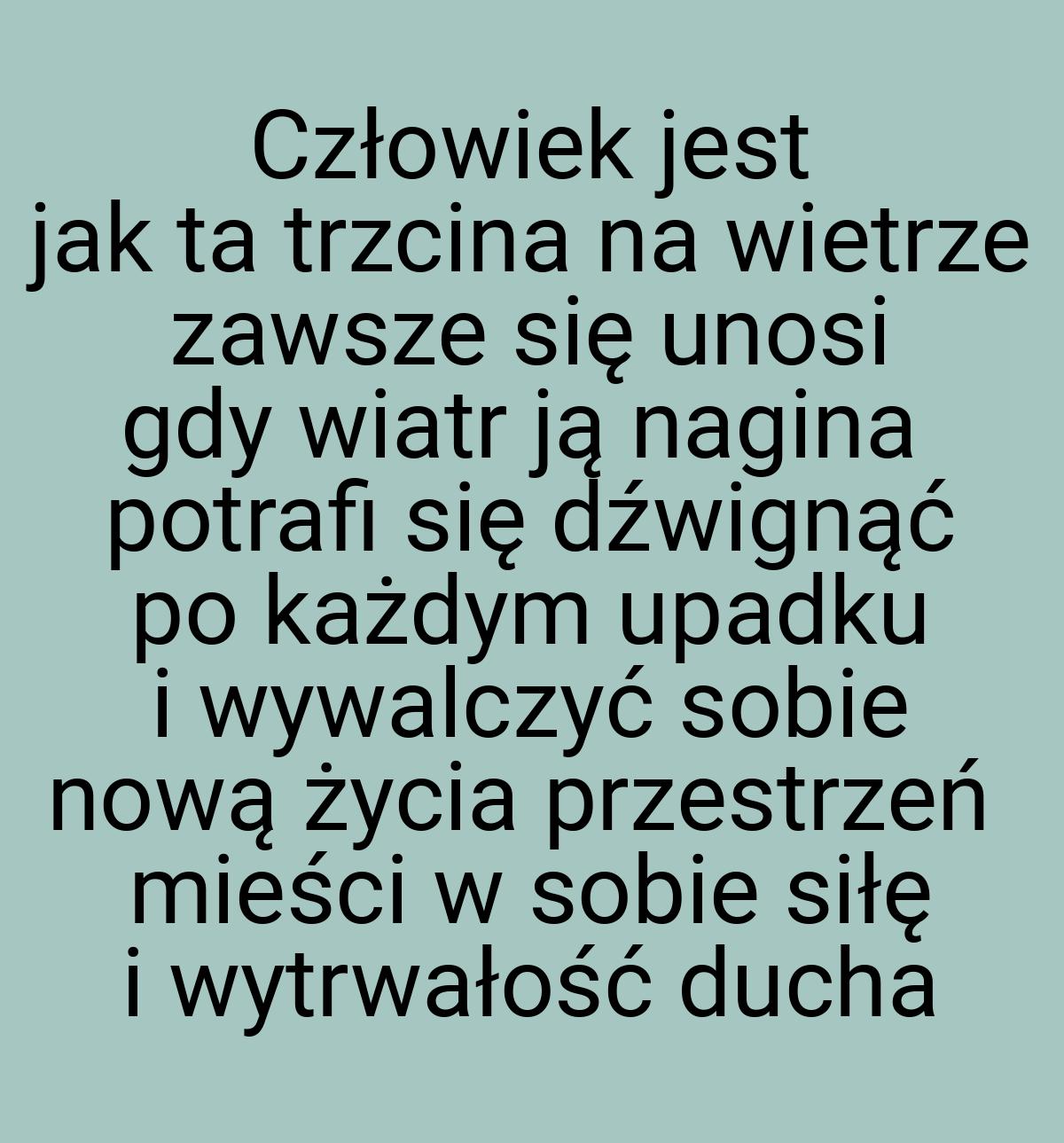 Człowiek jest jak ta trzcina na wietrze zawsze się unosi