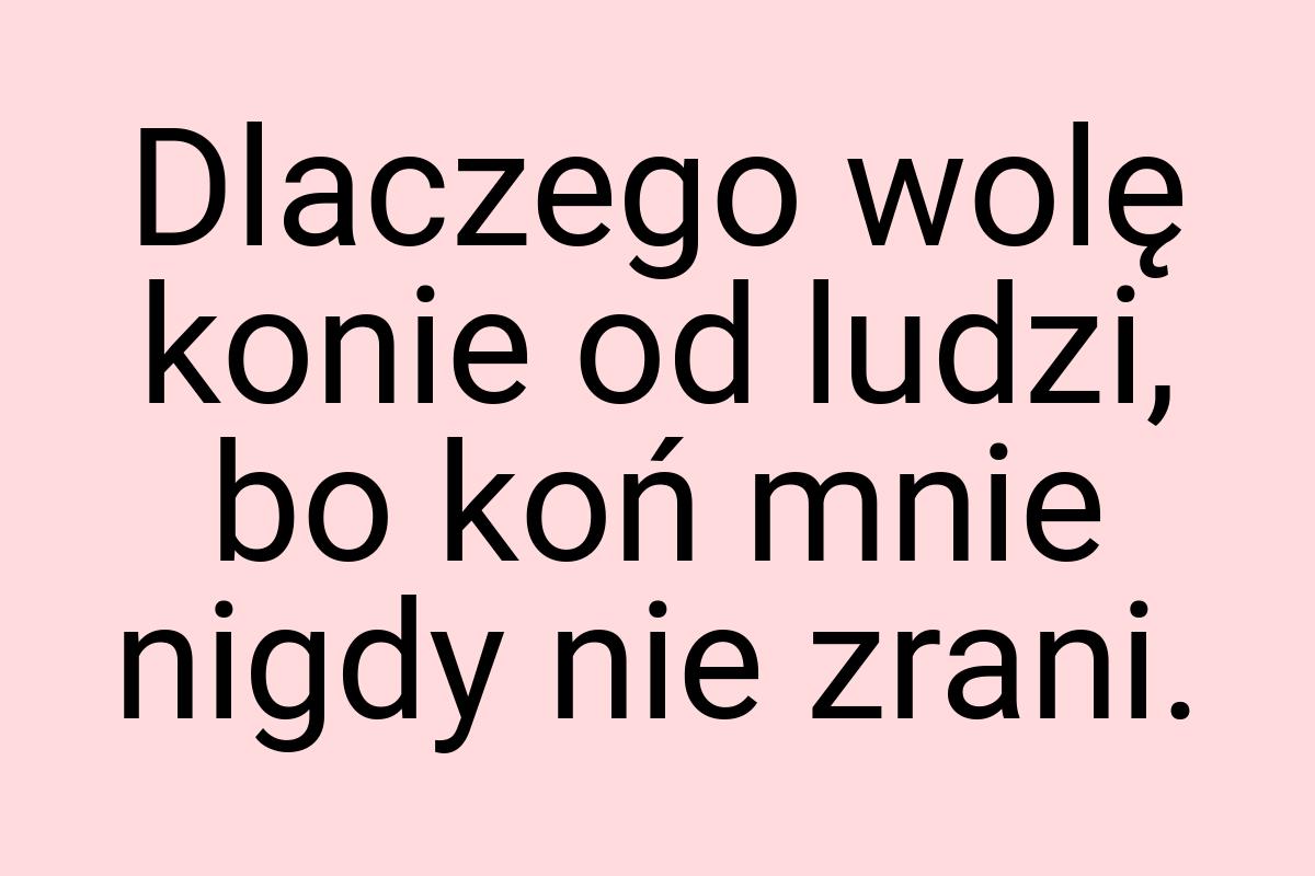 Dlaczego wolę konie od ludzi, bo koń mnie nigdy nie zrani