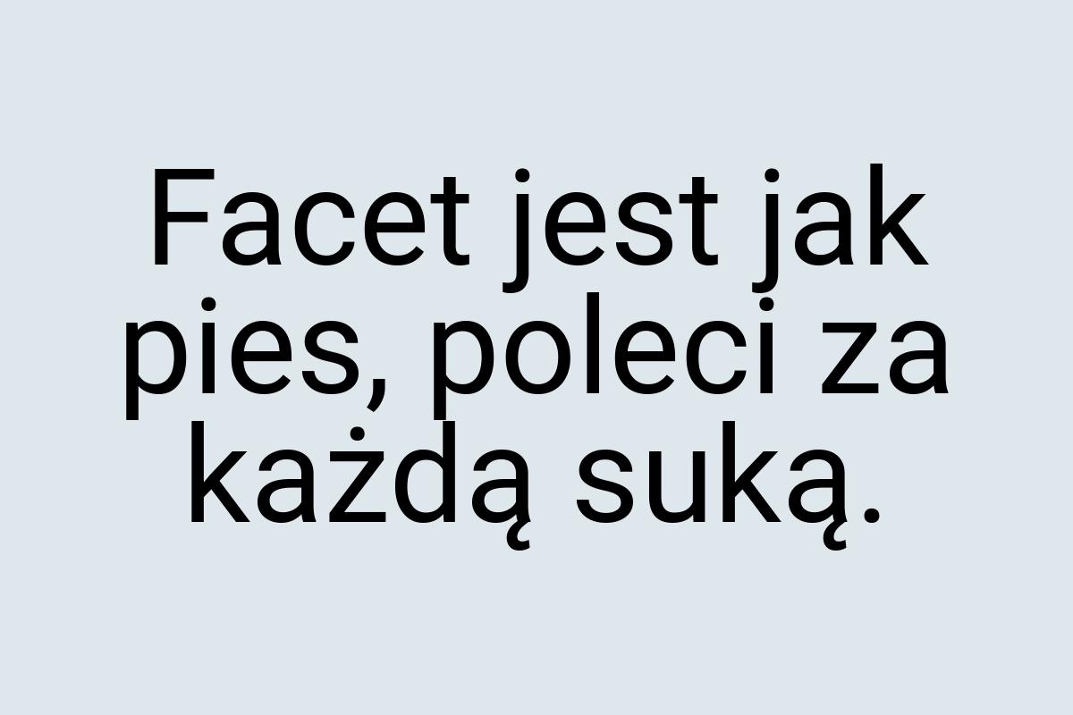 Facet jest jak pies, poleci za każdą suką