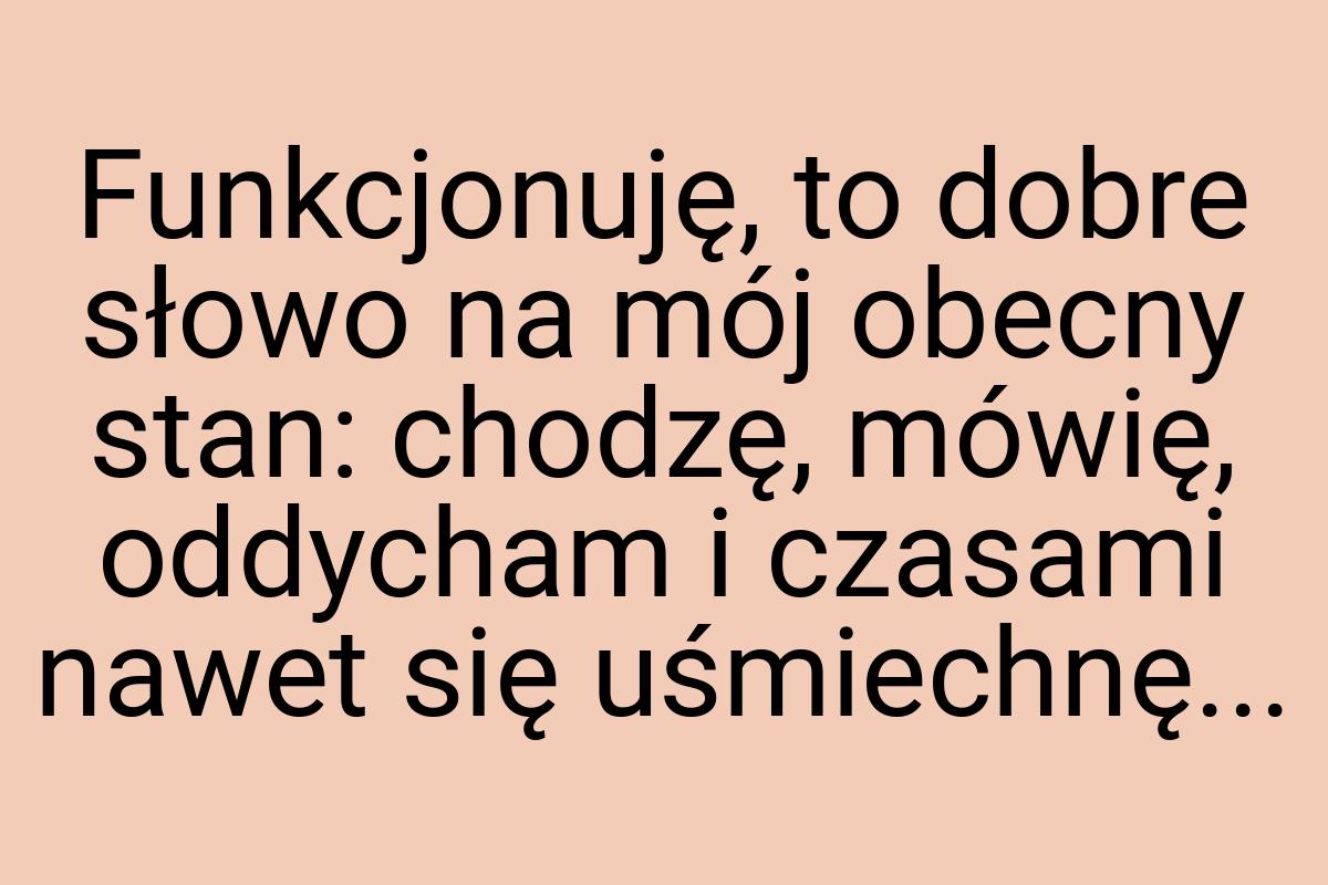 Funkcjonuję, to dobre słowo na mój obecny stan: chodzę