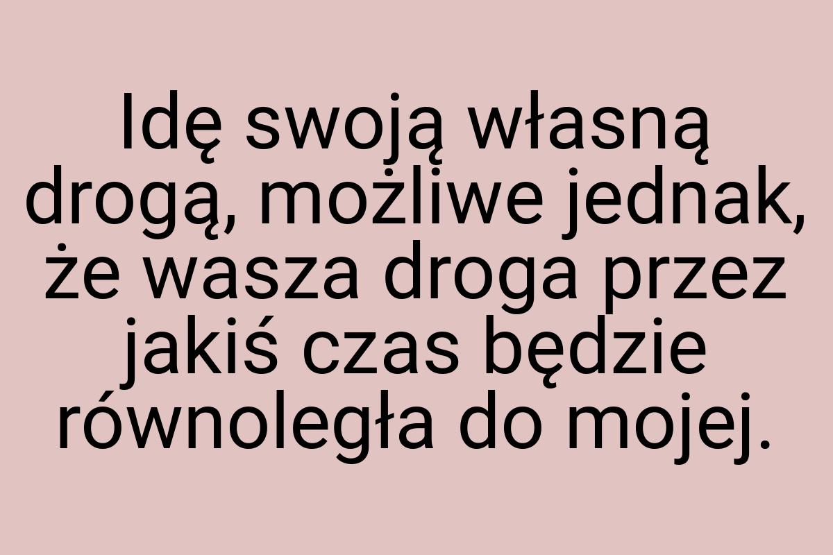 Idę swoją własną drogą, możliwe jednak, że wasza droga