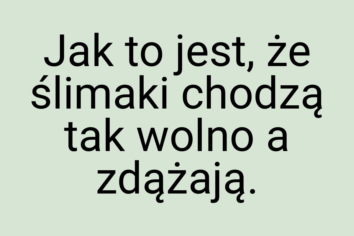 Jak to jest, że ślimaki chodzą tak wolno a zdążają