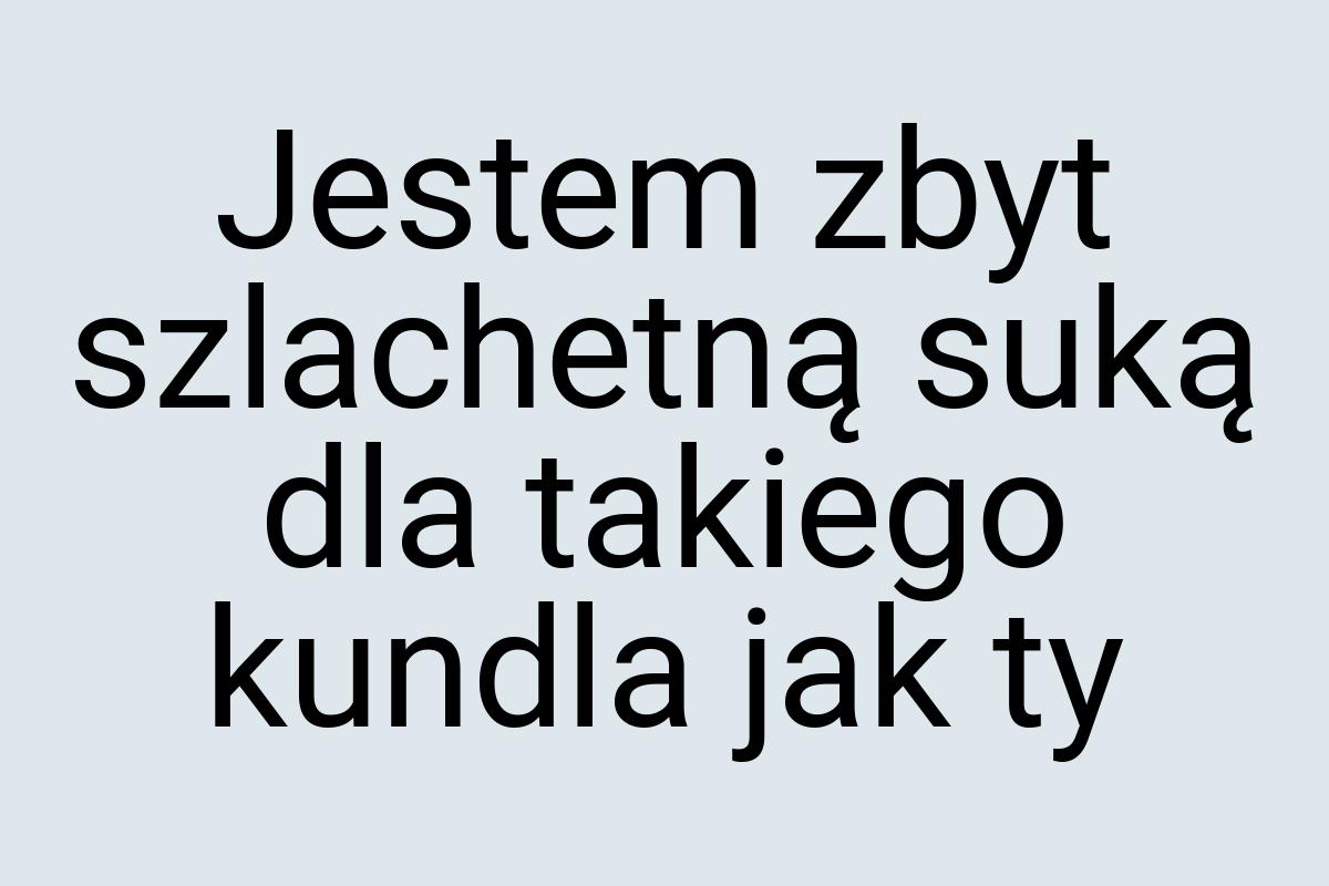 Jestem zbyt szlachetną suką dla takiego kundla jak ty