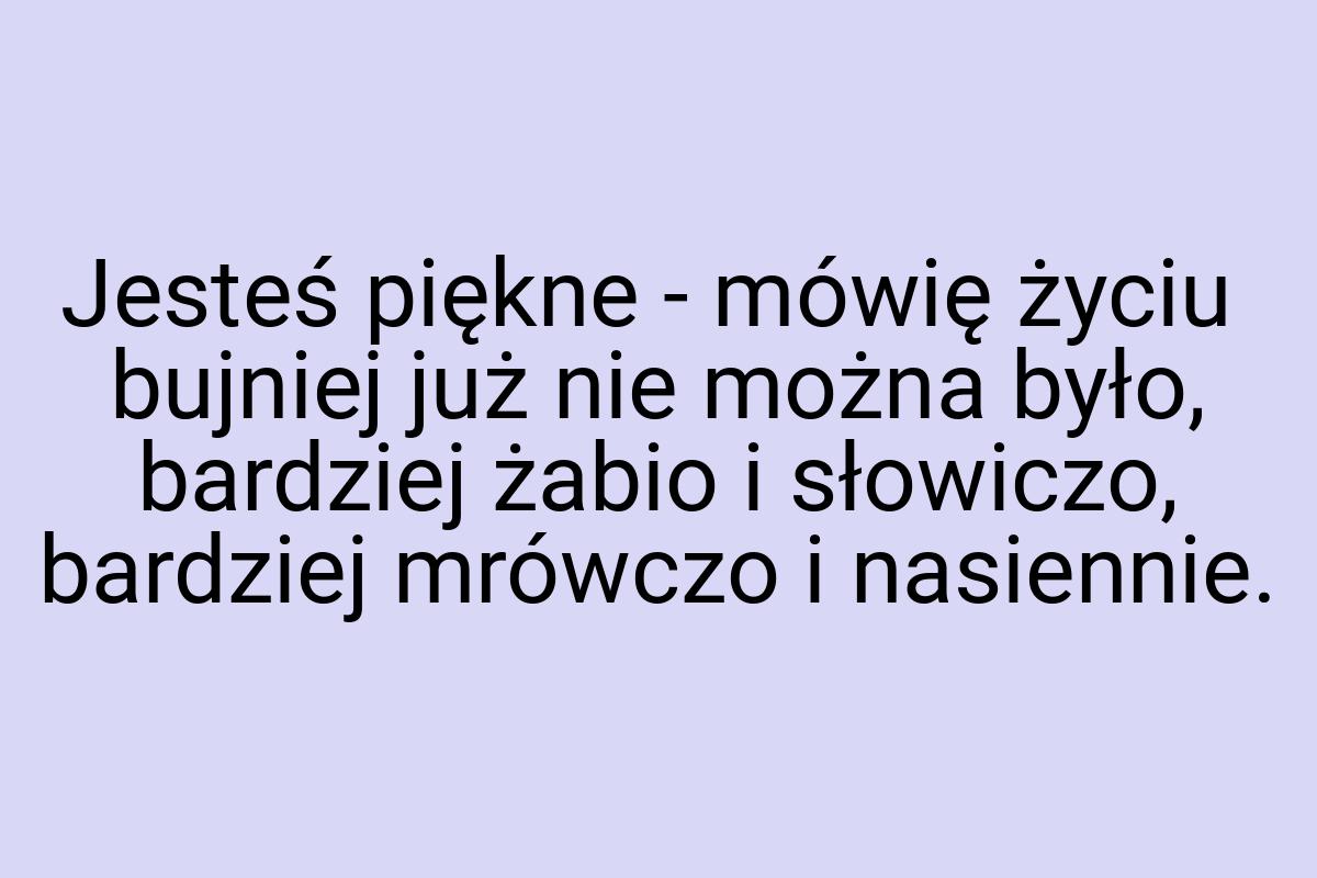 Jesteś piękne - mówię życiu bujniej już nie można było