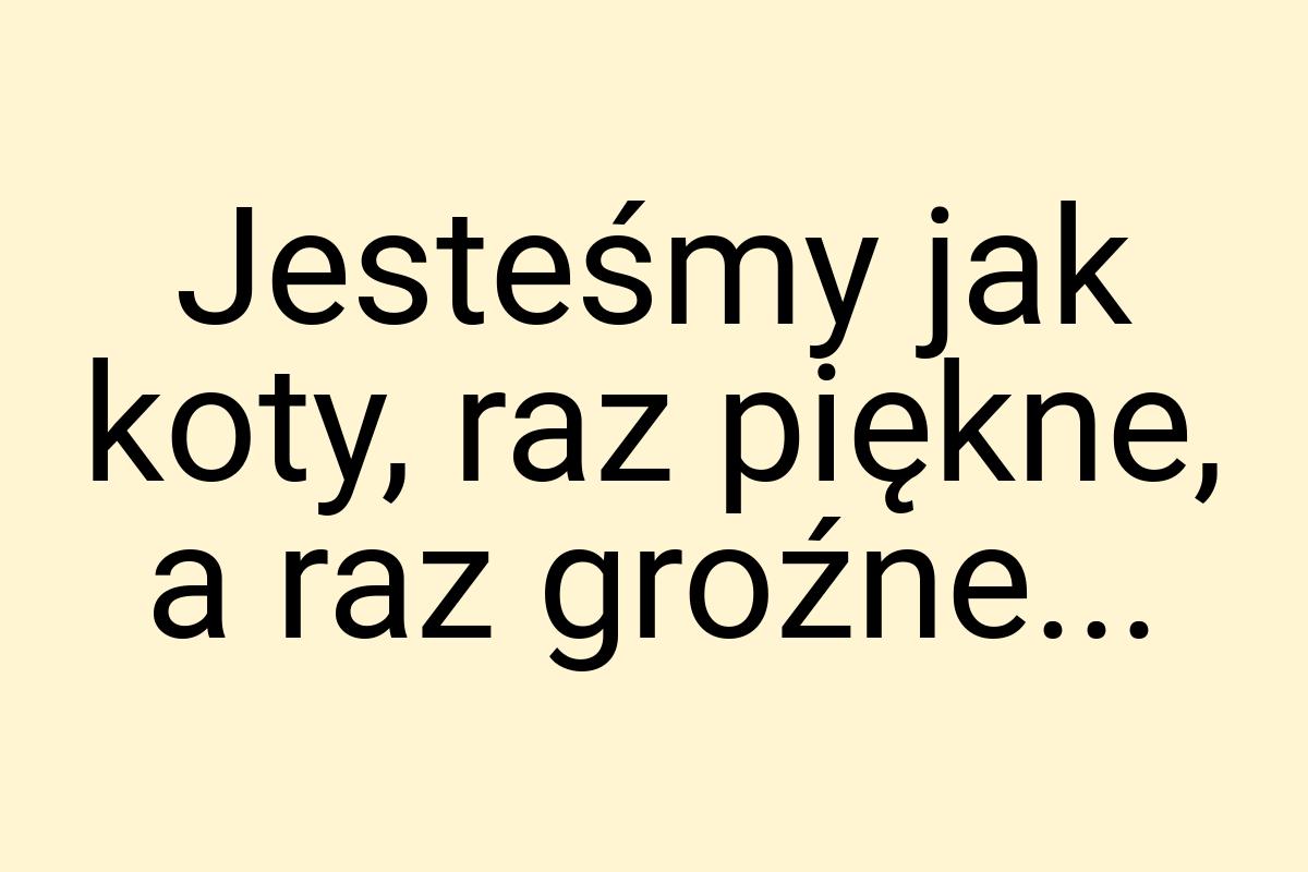 Jesteśmy jak koty, raz piękne, a raz groźne