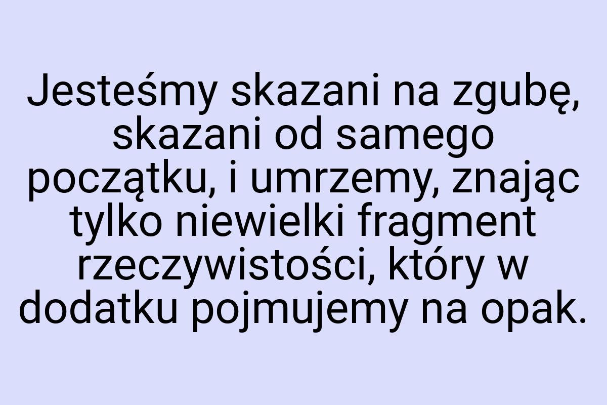 Jesteśmy skazani na zgubę, skazani od samego początku, i