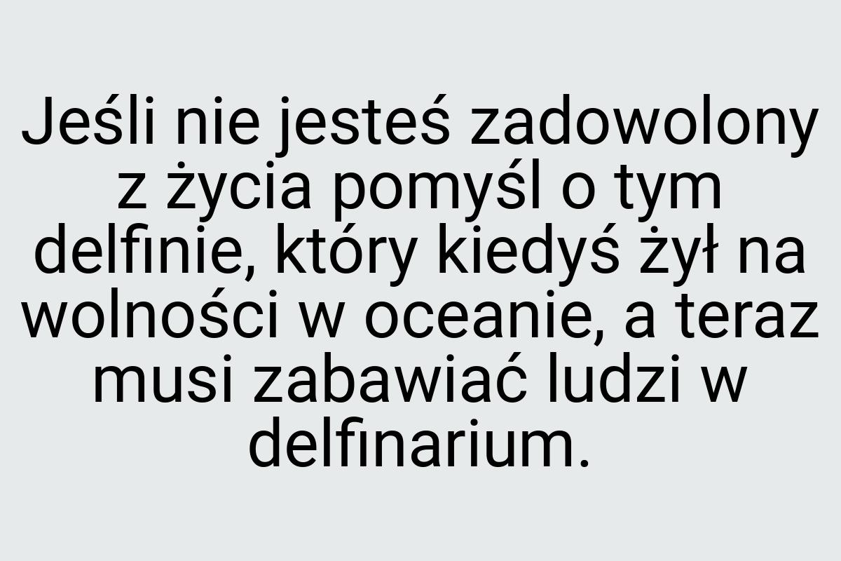 Jeśli nie jesteś zadowolony z życia pomyśl o tym delfinie