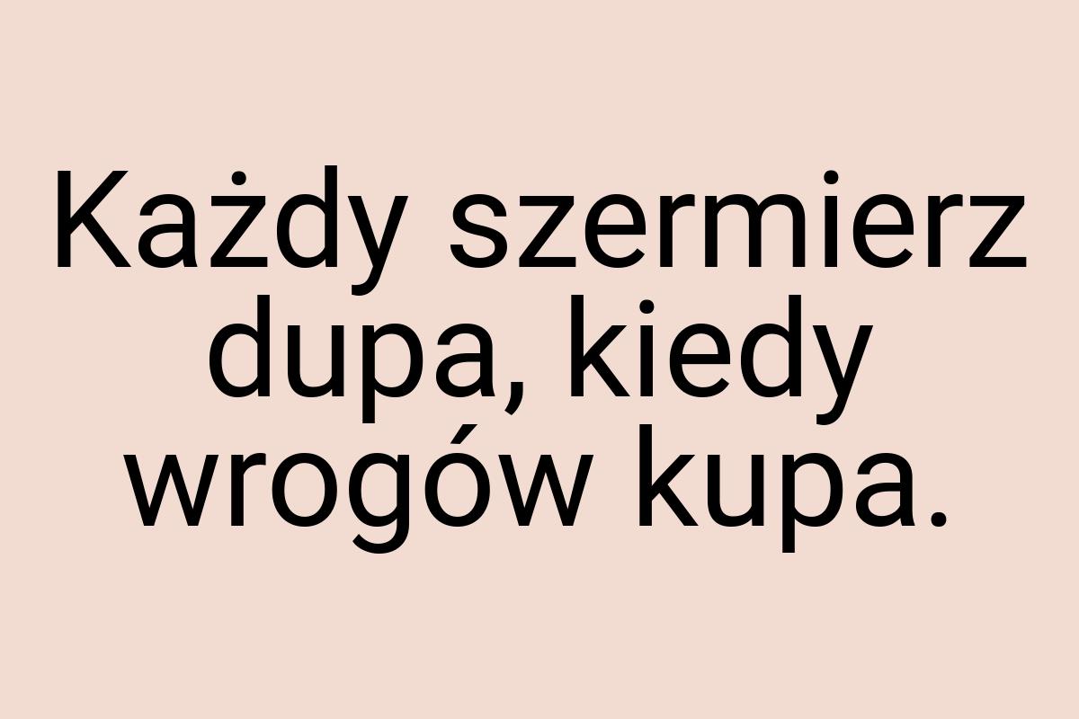 Każdy szermierz dupa, kiedy wrogów kupa