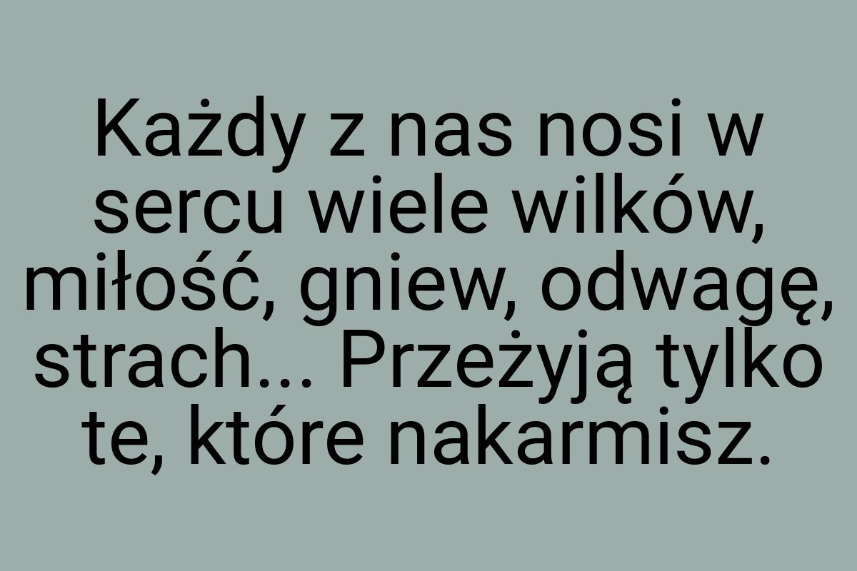 Każdy z nas nosi w sercu wiele wilków, miłość, gniew