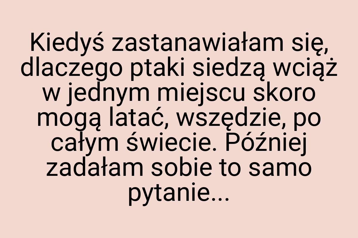 Kiedyś zastanawiałam się, dlaczego ptaki siedzą wciąż w