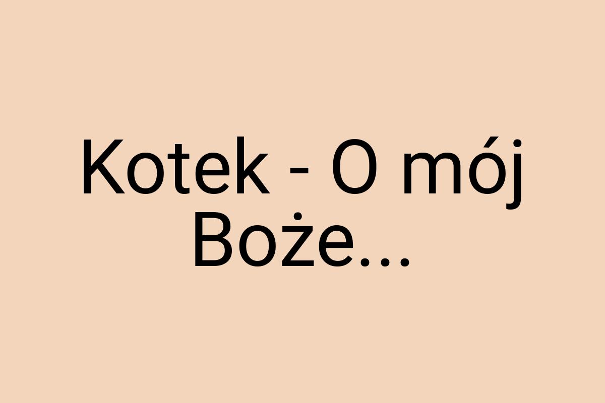 Kotek - O mój Boże