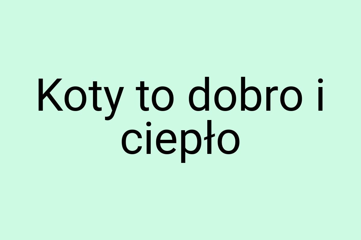 Koty to dobro i ciepło