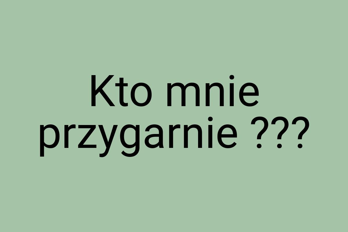 Kto mnie przygarnie