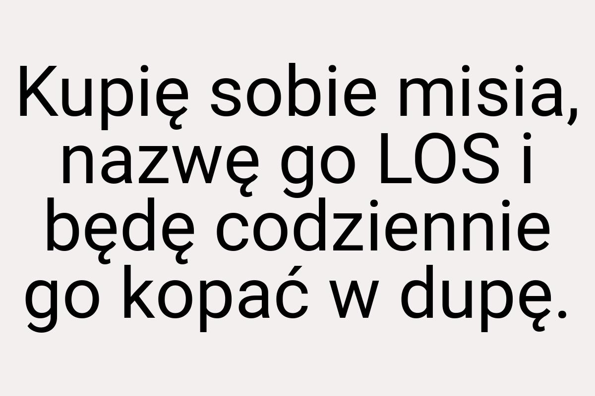 Kupię sobie misia, nazwę go LOS i będę codziennie go kopać