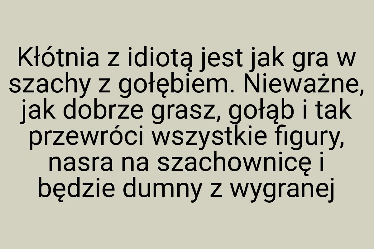 Kłótnia z idiotą jest jak gra w szachy z gołębiem