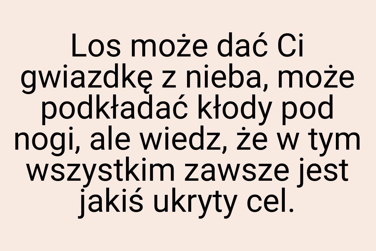 Los może dać Ci gwiazdkę z nieba, może podkładać kłody pod