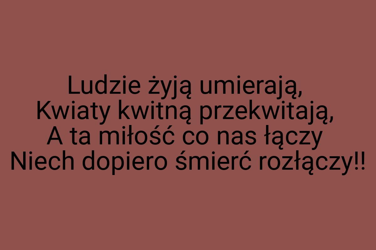 Ludzie żyją umierają, Kwiaty kwitną przekwitają, A ta