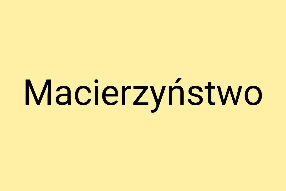 Macierzyństwo