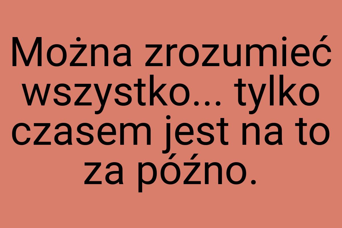 Można zrozumieć wszystko... tylko czasem jest na to za