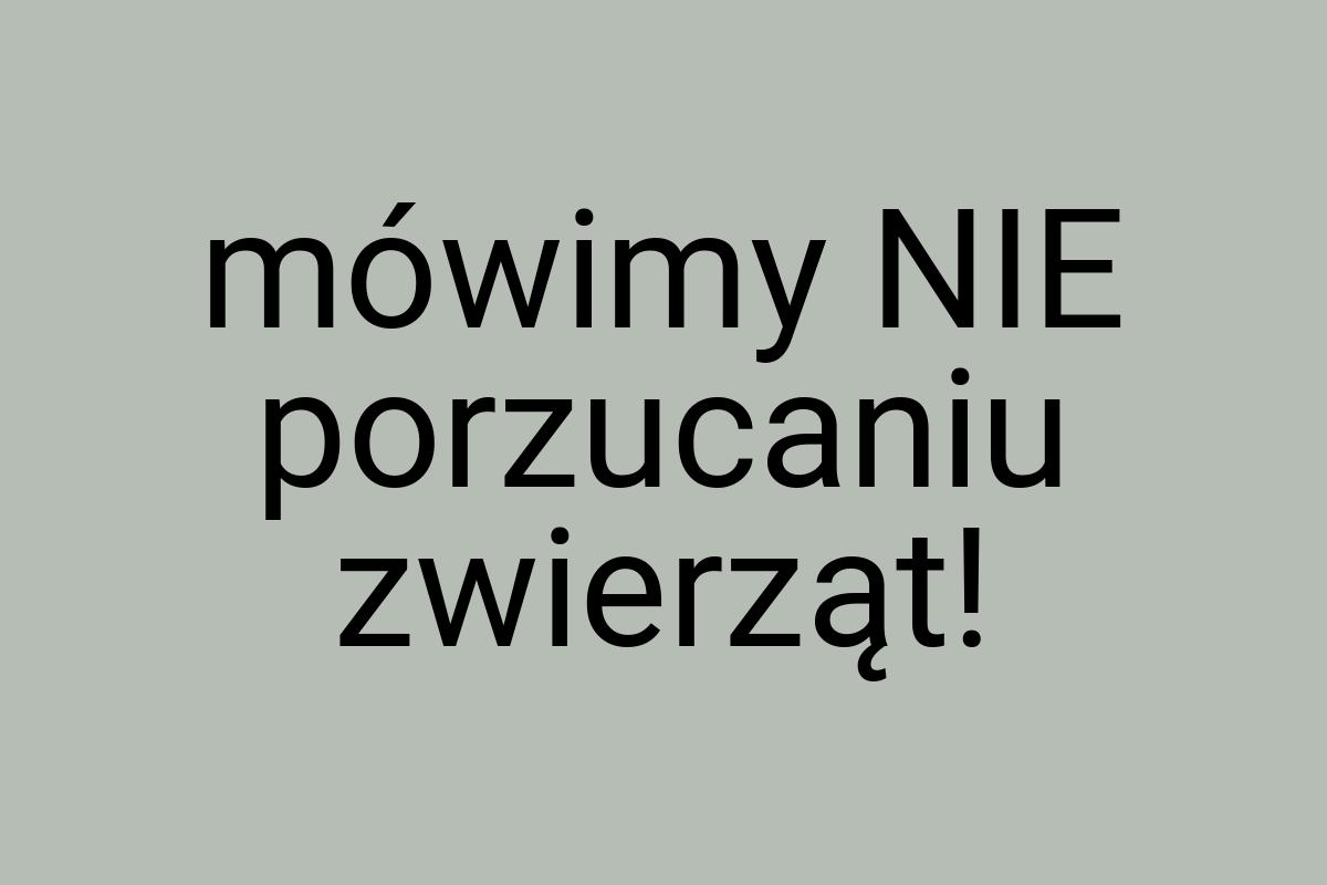 Mówimy NIE porzucaniu zwierząt