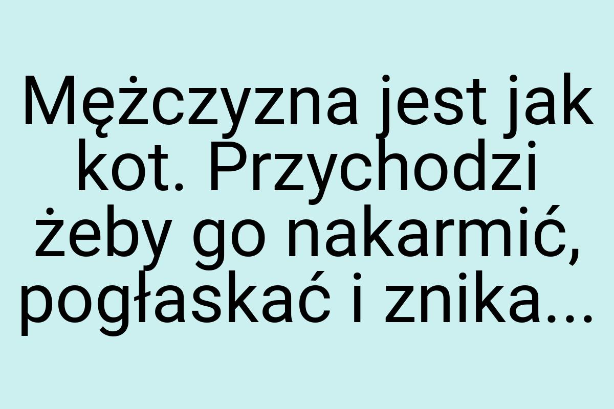 Mężczyzna jest jak kot. Przychodzi żeby go nakarmić