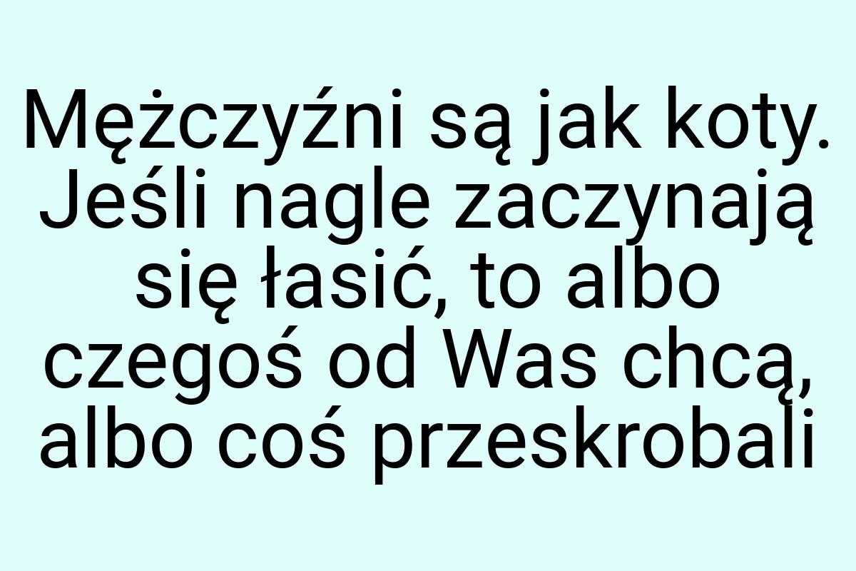 Mężczyźni są jak koty. Jeśli nagle zaczynają się łasić, to