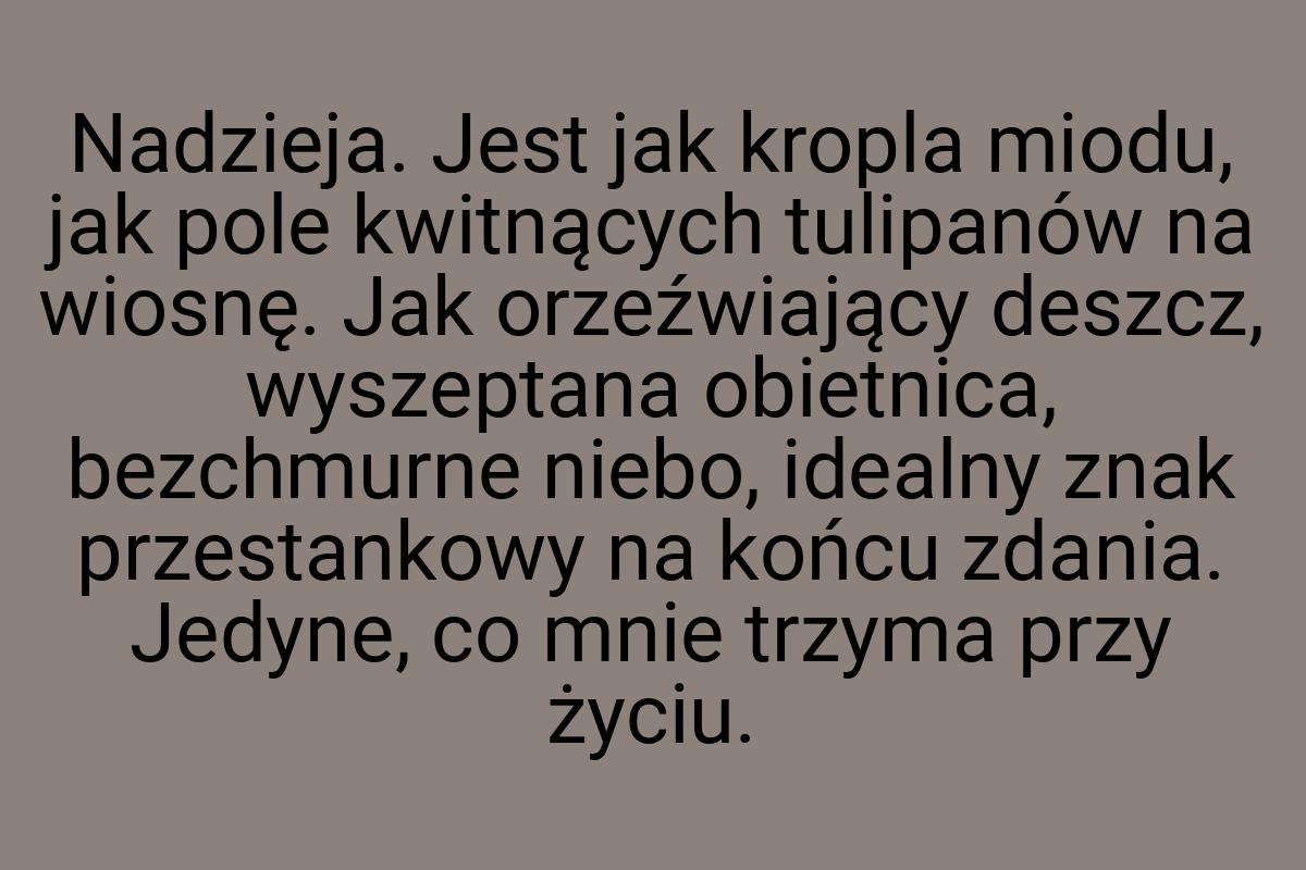 Nadzieja. Jest jak kropla miodu, jak pole kwitnących