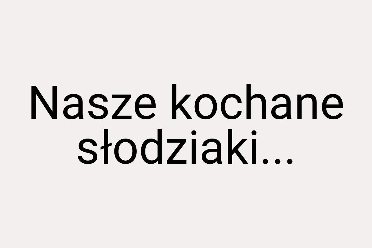 Nasze kochane słodziaki