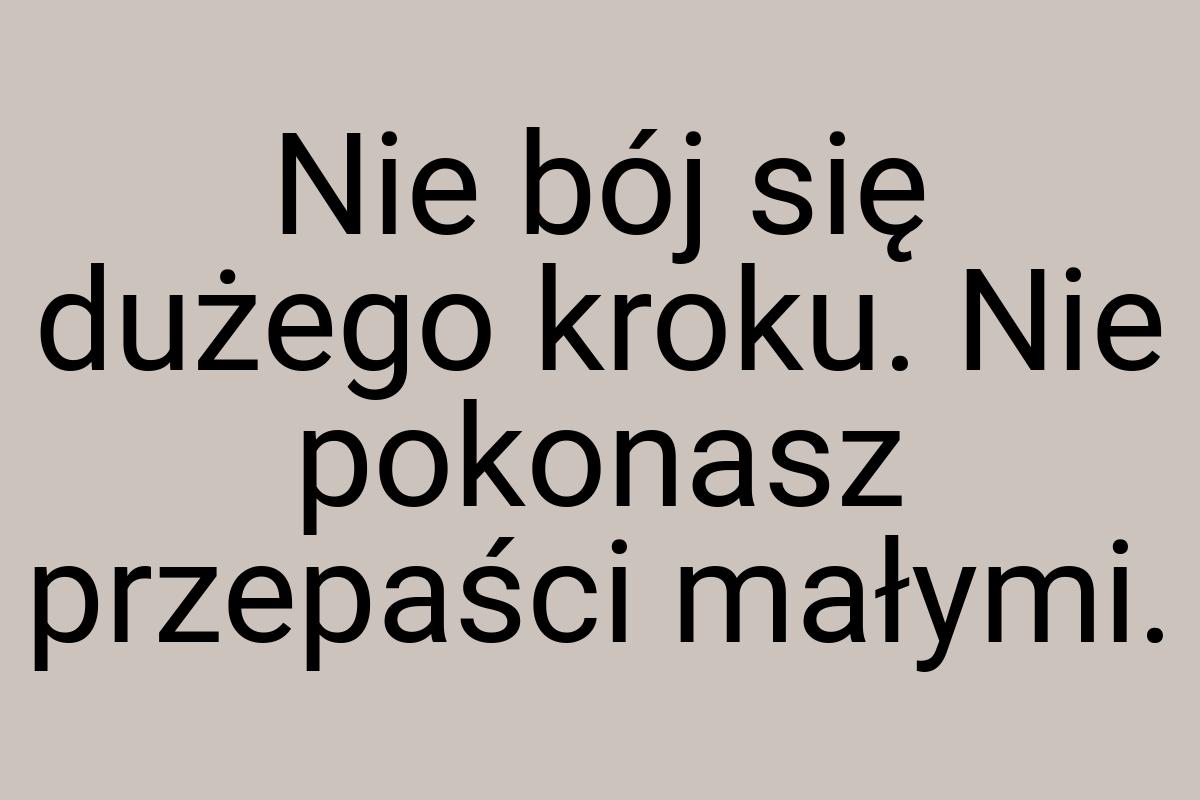 Nie bój się dużego kroku. Nie pokonasz przepaści małymi