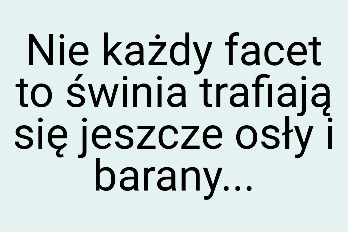 Nie każdy facet to świnia trafiają się jeszcze osły i