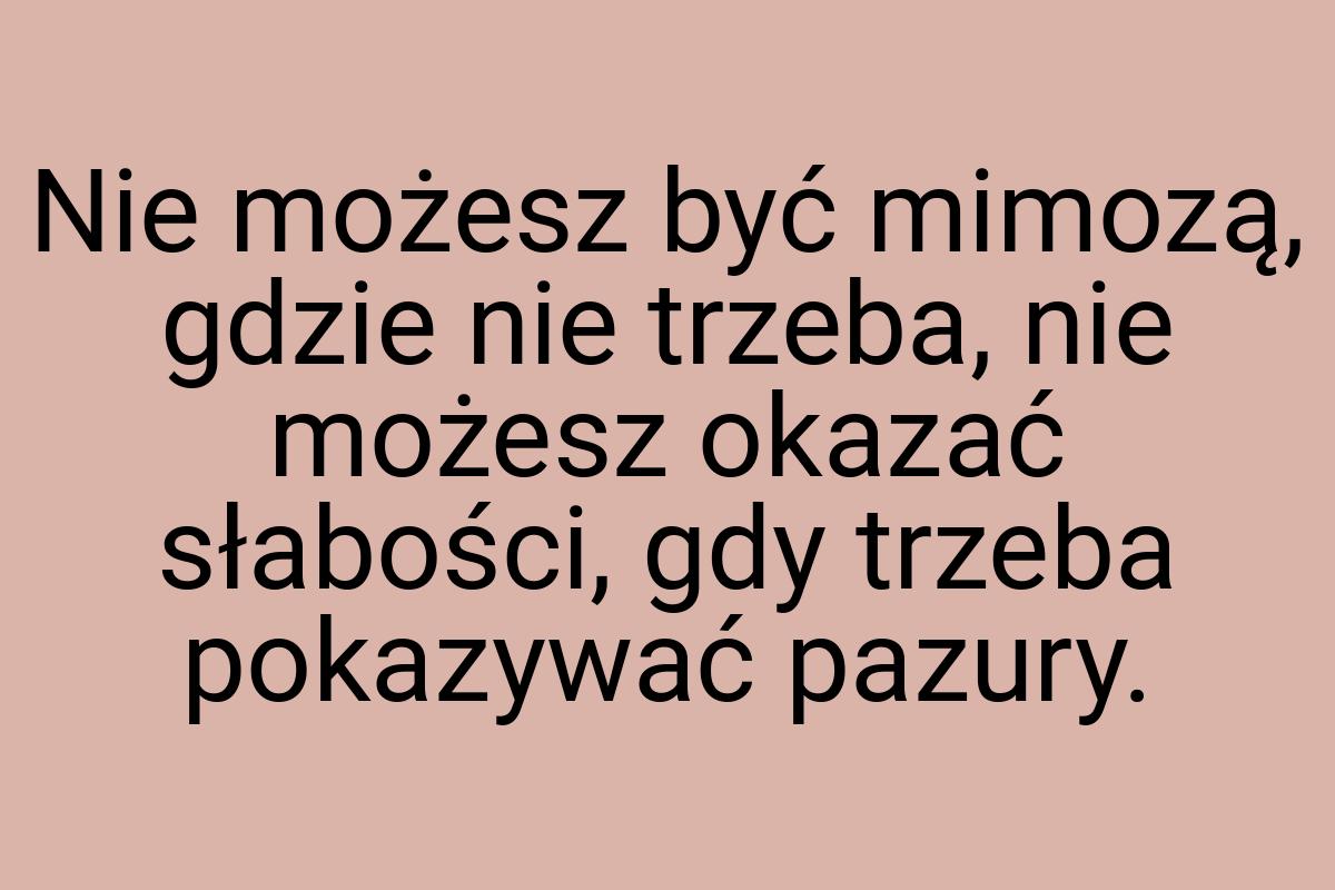 Nie możesz być mimozą, gdzie nie trzeba, nie możesz okazać