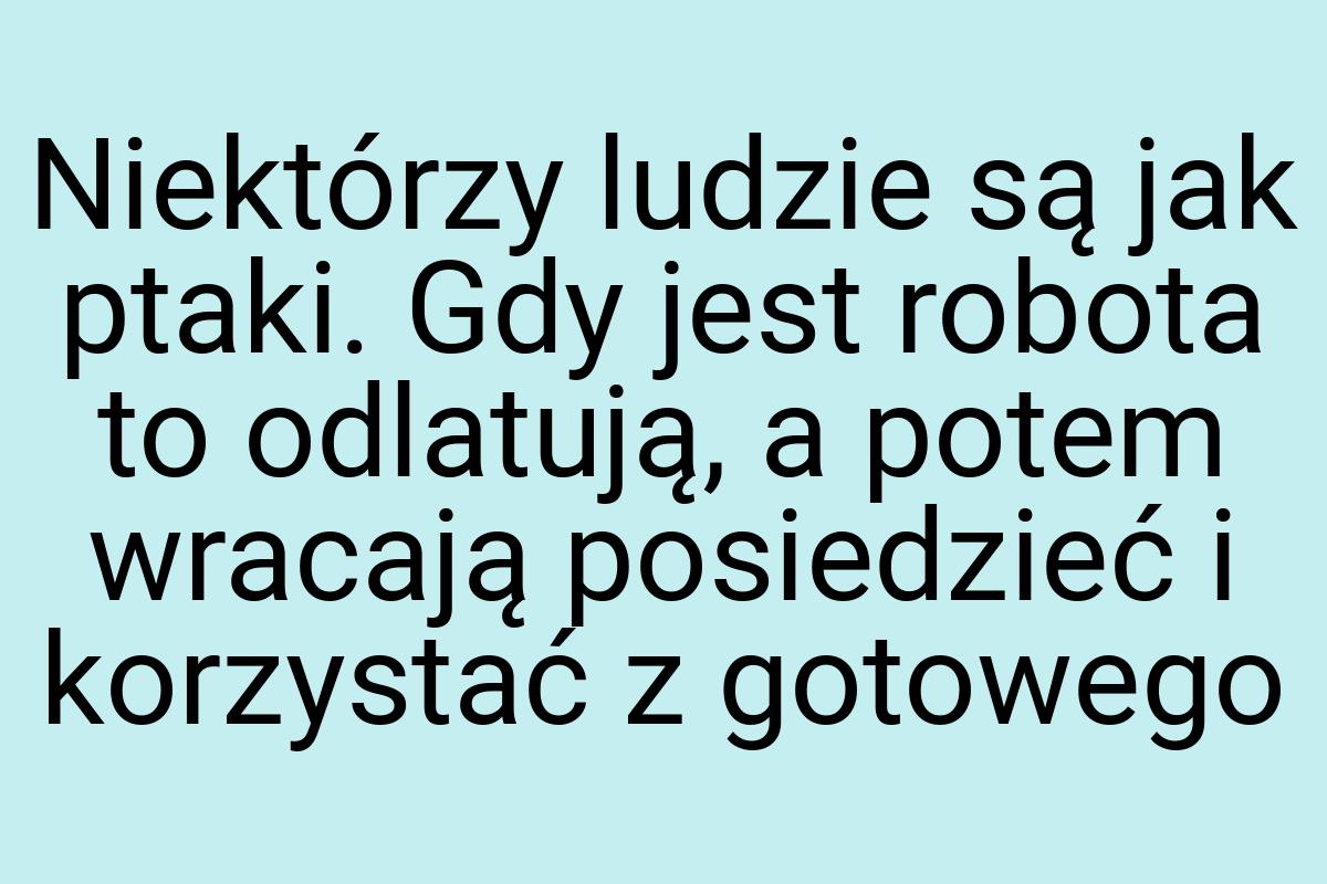 Niektórzy ludzie są jak ptaki. Gdy jest robota to odlatują