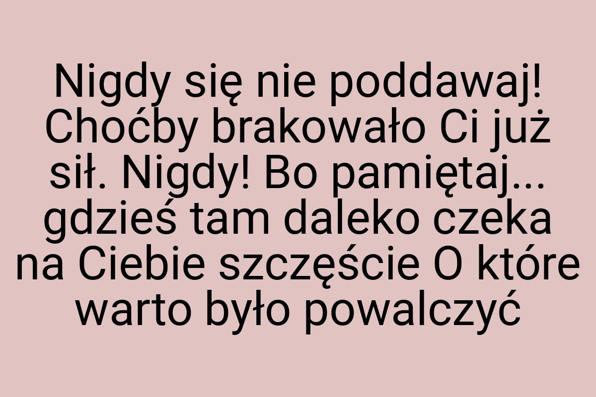 Nigdy się nie poddawaj! Choćby brakowało Ci już sił. Nigdy