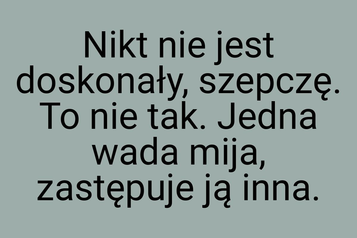 Nikt nie jest doskonały, szepczę. To nie tak. Jedna wada