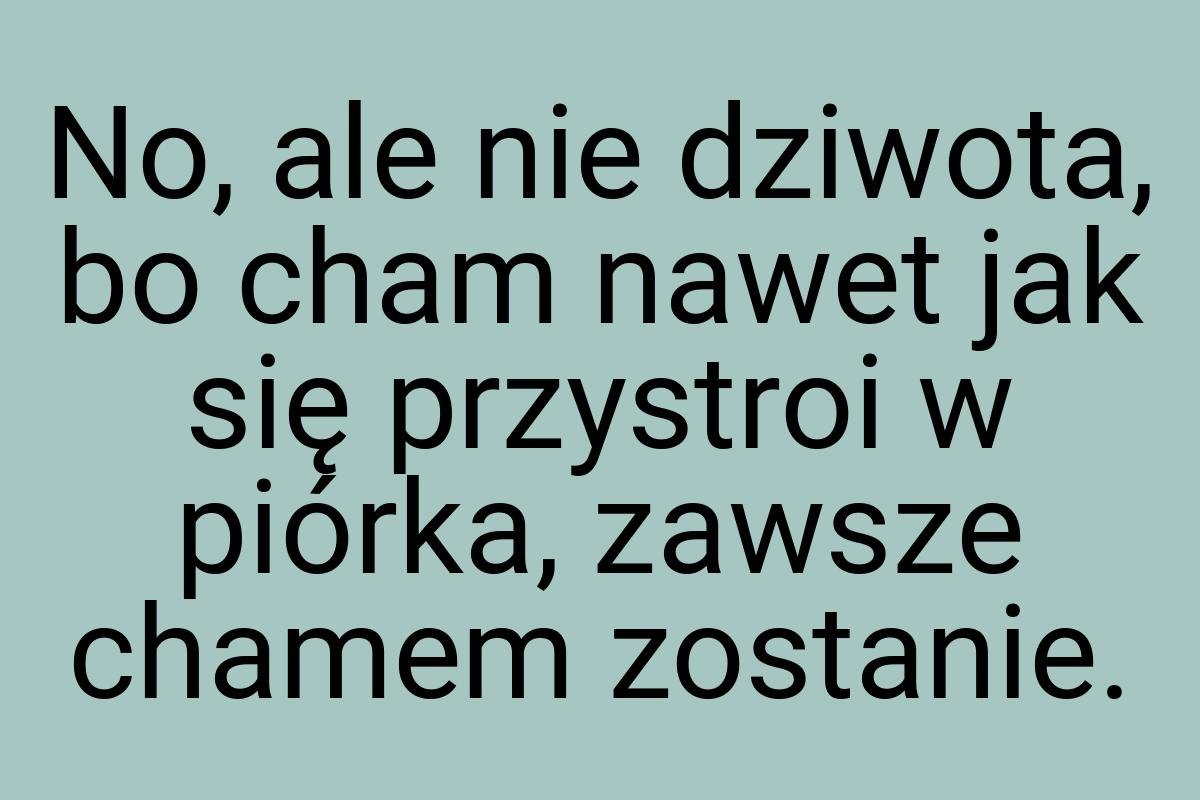 No, ale nie dziwota, bo cham nawet jak się przystroi w