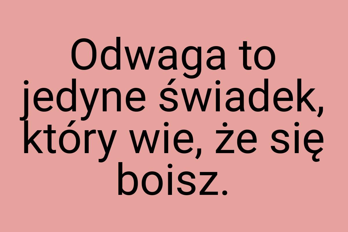 Odwaga to jedyne świadek, który wie, że się boisz