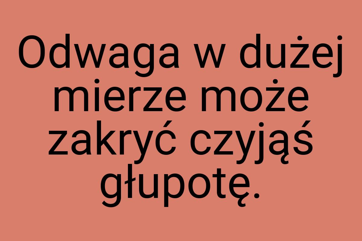 Odwaga w dużej mierze może zakryć czyjąś głupotę