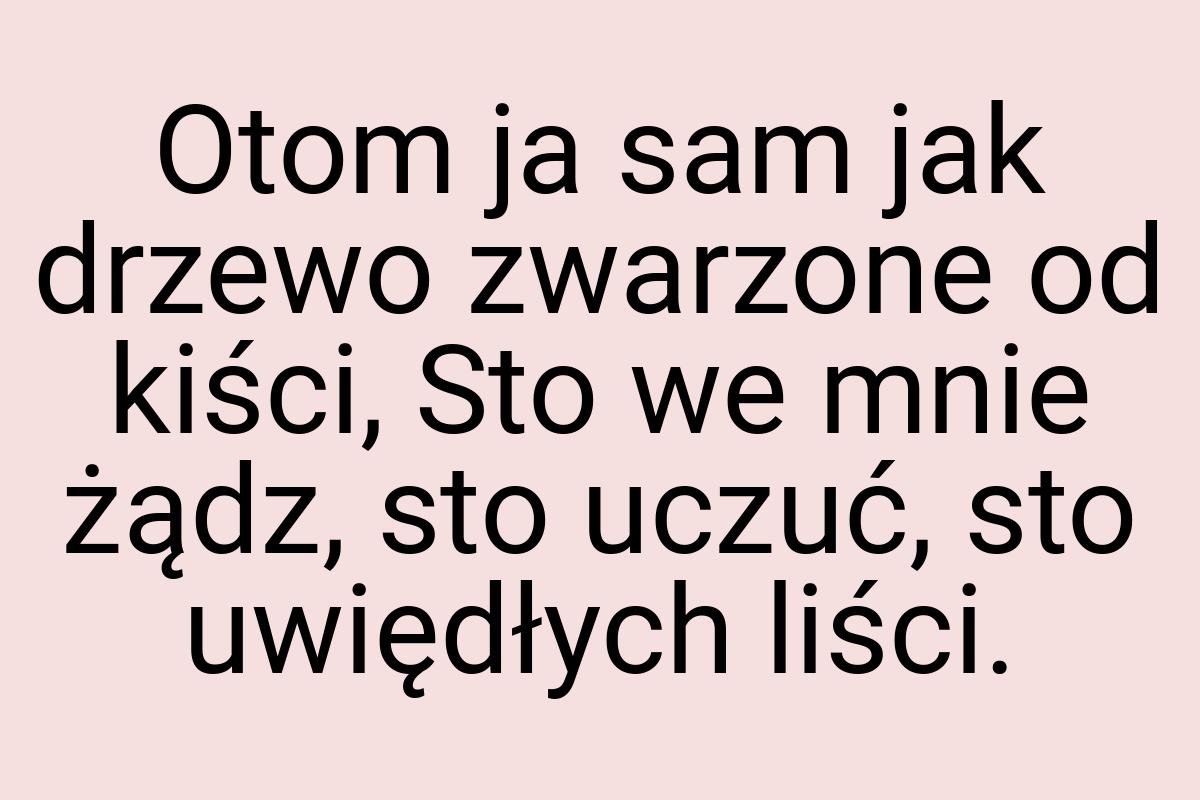 Otom ja sam jak drzewo zwarzone od kiści, Sto we mnie żądz