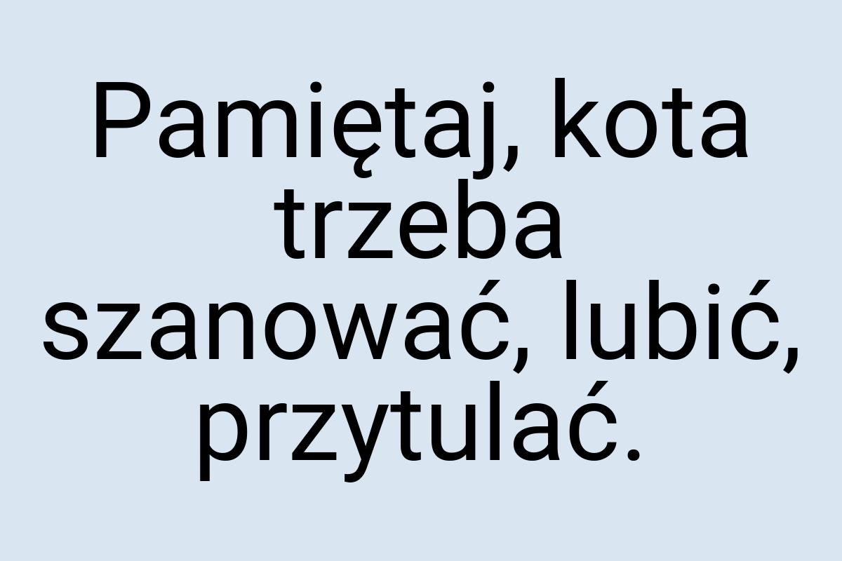 Pamiętaj, kota trzeba szanować, lubić, przytulać